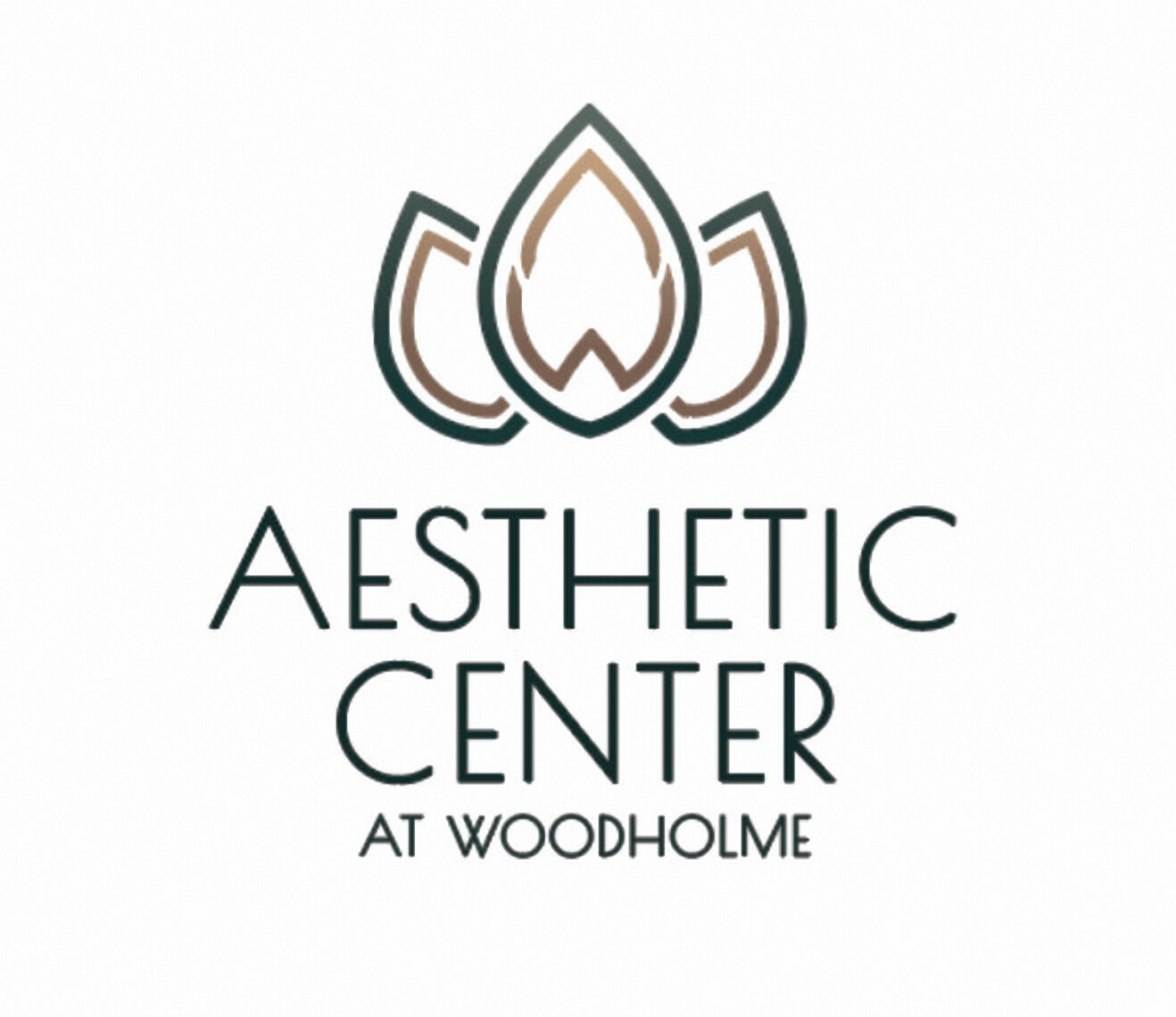 aesthetic center for plastic surgery aesthetic center for plastic surgery
