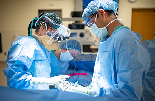 hpb surgeon hpb surgeon